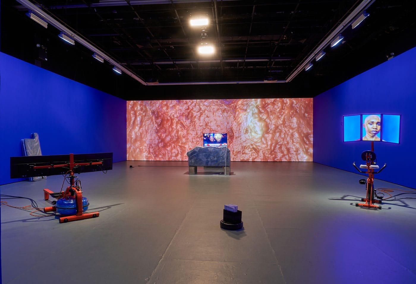 Installation view, Sondra Perry, Resident Evil at the Kitchen (© Jason Mandella)