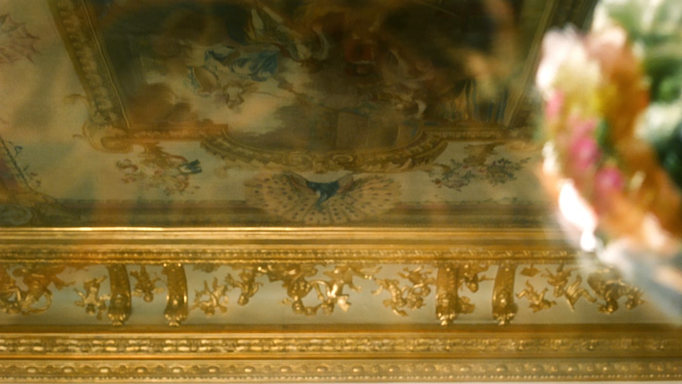 Still image from Laurent Grasso, "Elysée" (2016), 35 mm film loop (transferred to DVD) with music by Nicolas Godin