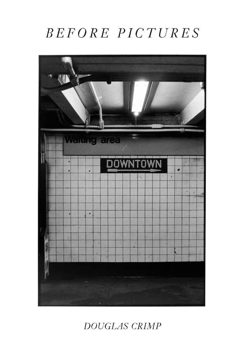 Douglas Crimp, <em/>Before Pictures (courtesy University of Chicago Press)