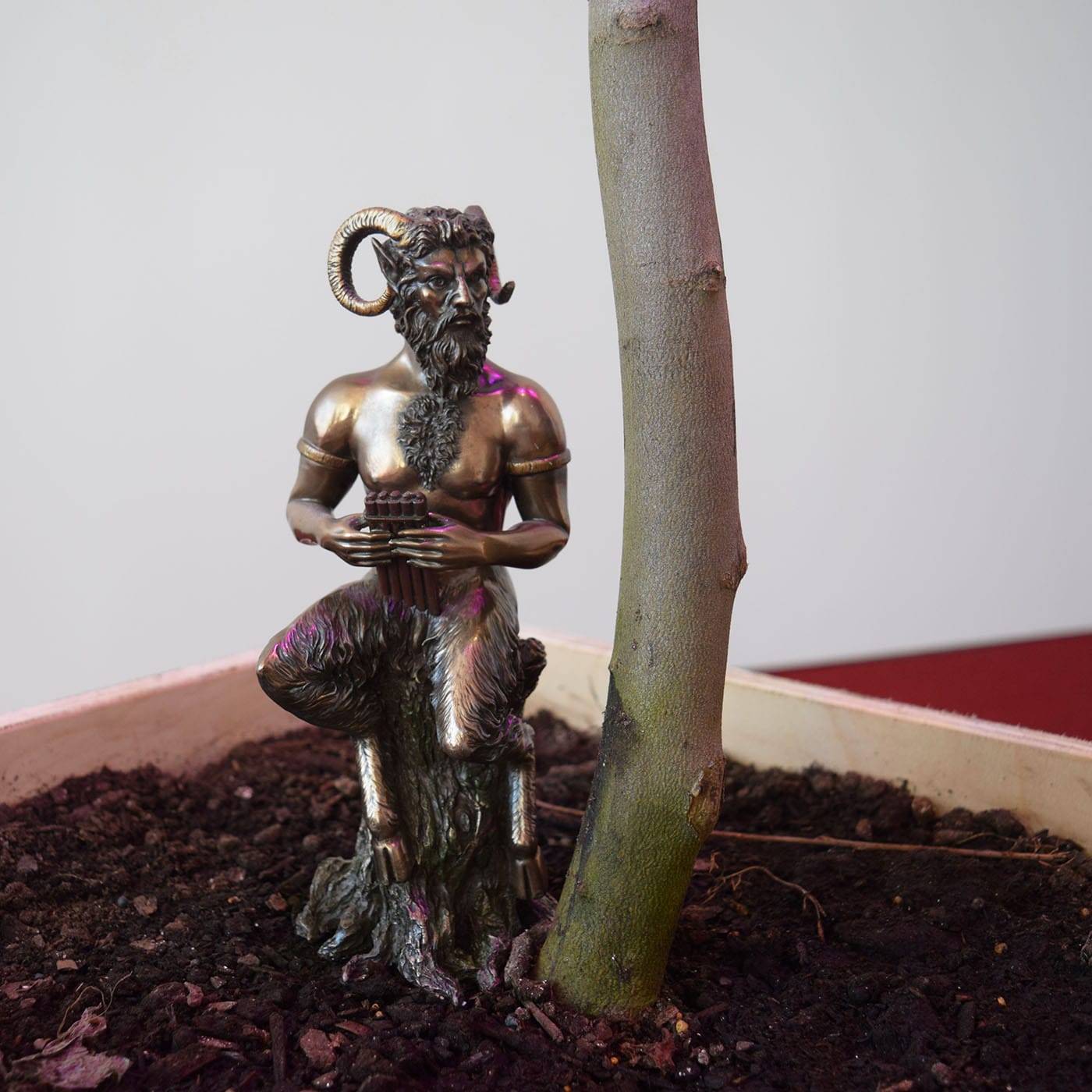 Detail of Asad Raza's "Root sequence. Mother tongue" (2017)