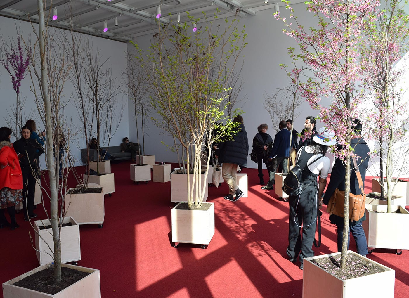 Asad Raza, "Root sequence. Mother tongue" (2017)