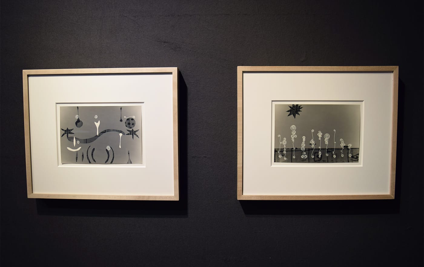 Untitled photograms (both 1949) by Evelyn Statsinger in the Richard Gray Gallery booth at the 2017 ADAA Art Show