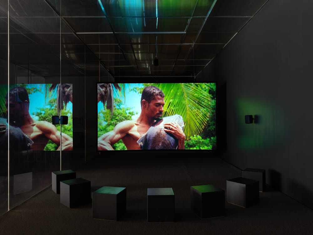 Installation View of Jonathas de Andrade: O Peixe at the New Museum (courtesy the New Museum)
