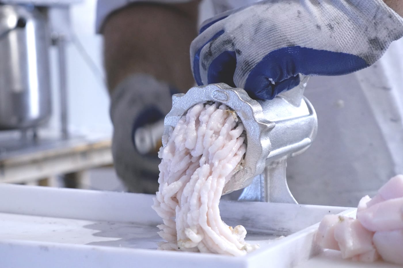 Rotem Tamir and Omri Zin, <em>Larval Acceleration: A Conversation in Chunks</em> (2017), installation view at Locust Projects, Miami