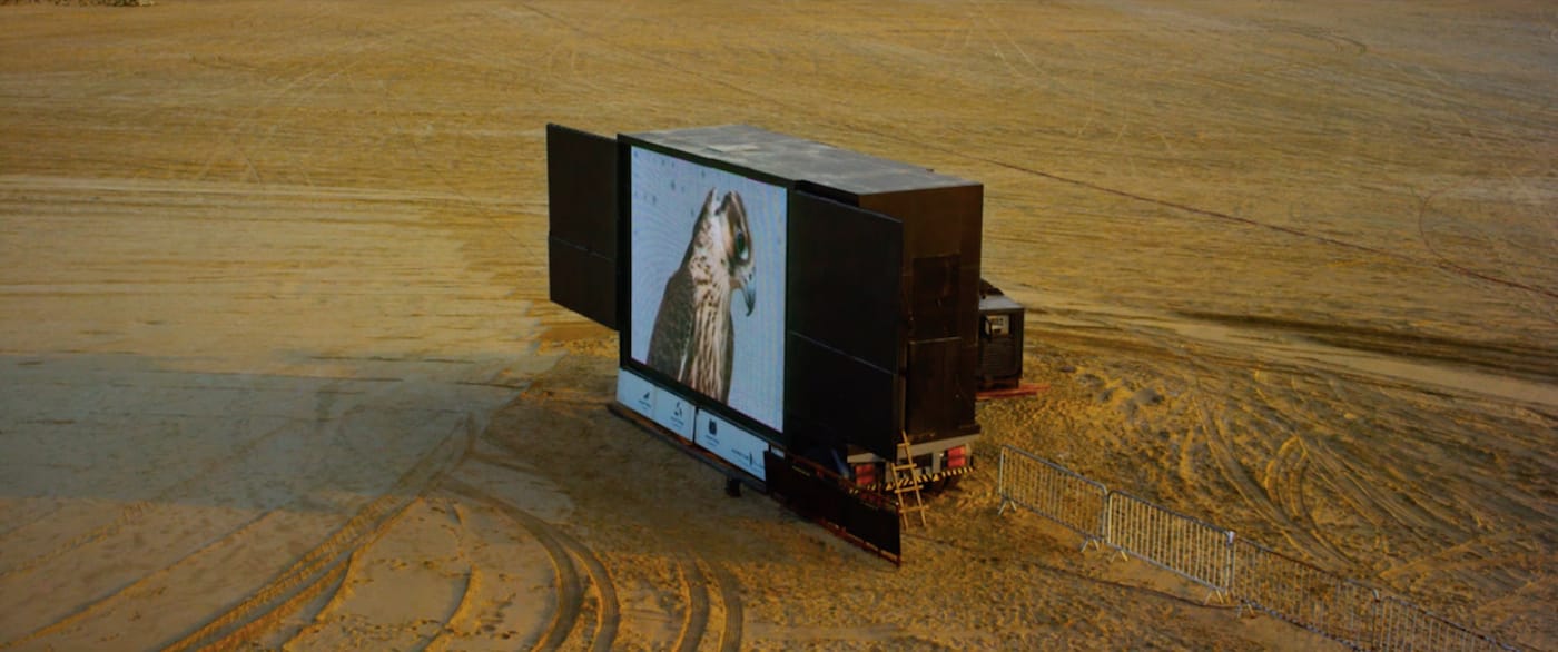 Still from <em/>The Challenge (2016), directed by Yuri Ancarani