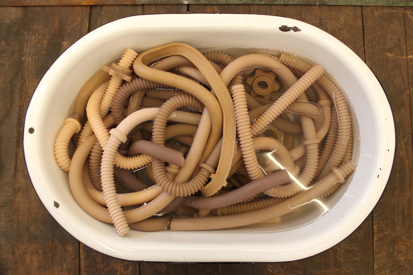 Jes Fan, "Disposed to Add" (2017), silicone (all photos by the author for Hyperallergic)