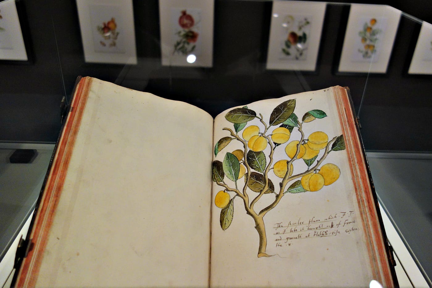 Installation view of the Garden Museum in London