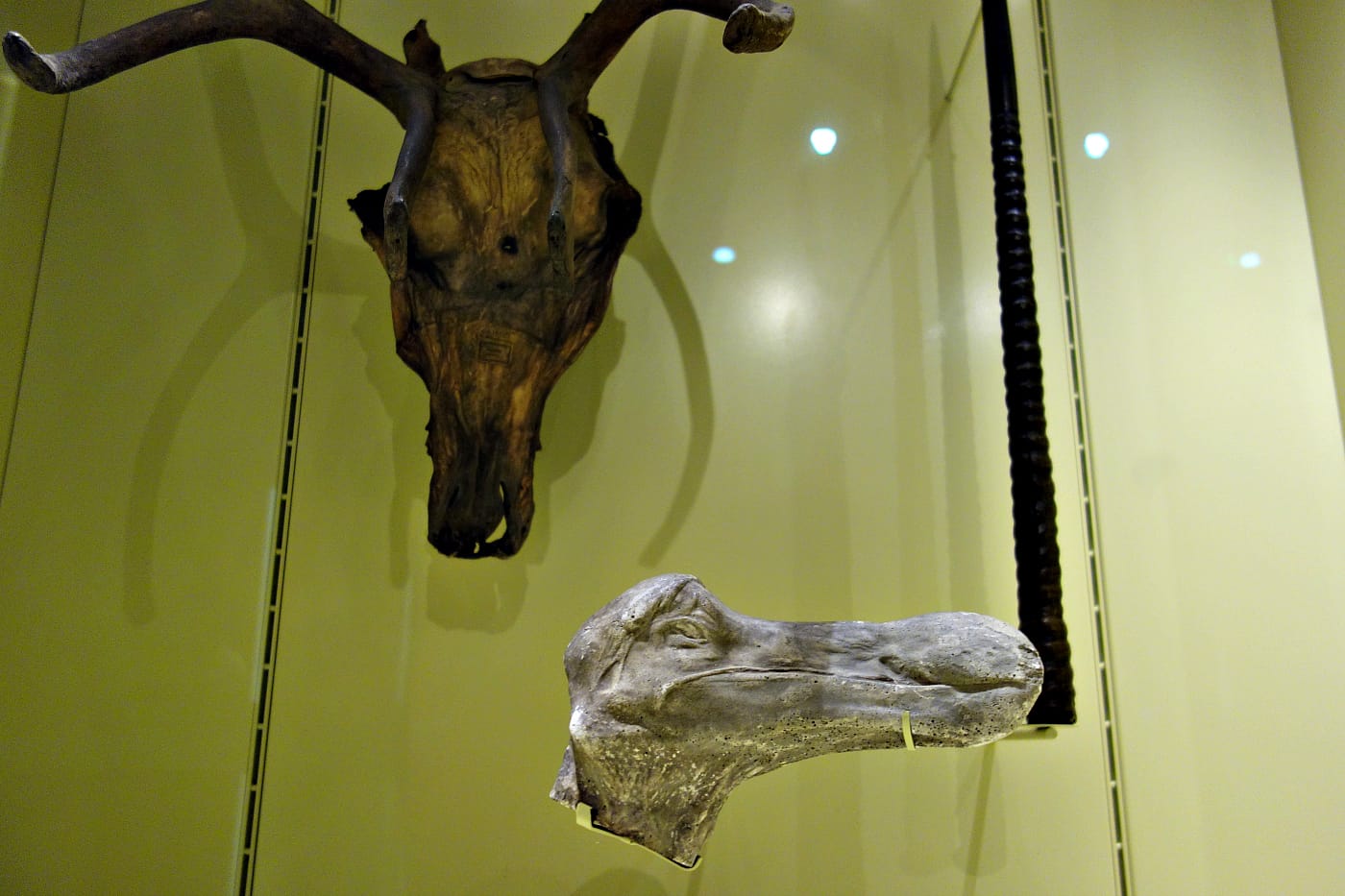 Installation view of the Garden Museum in London