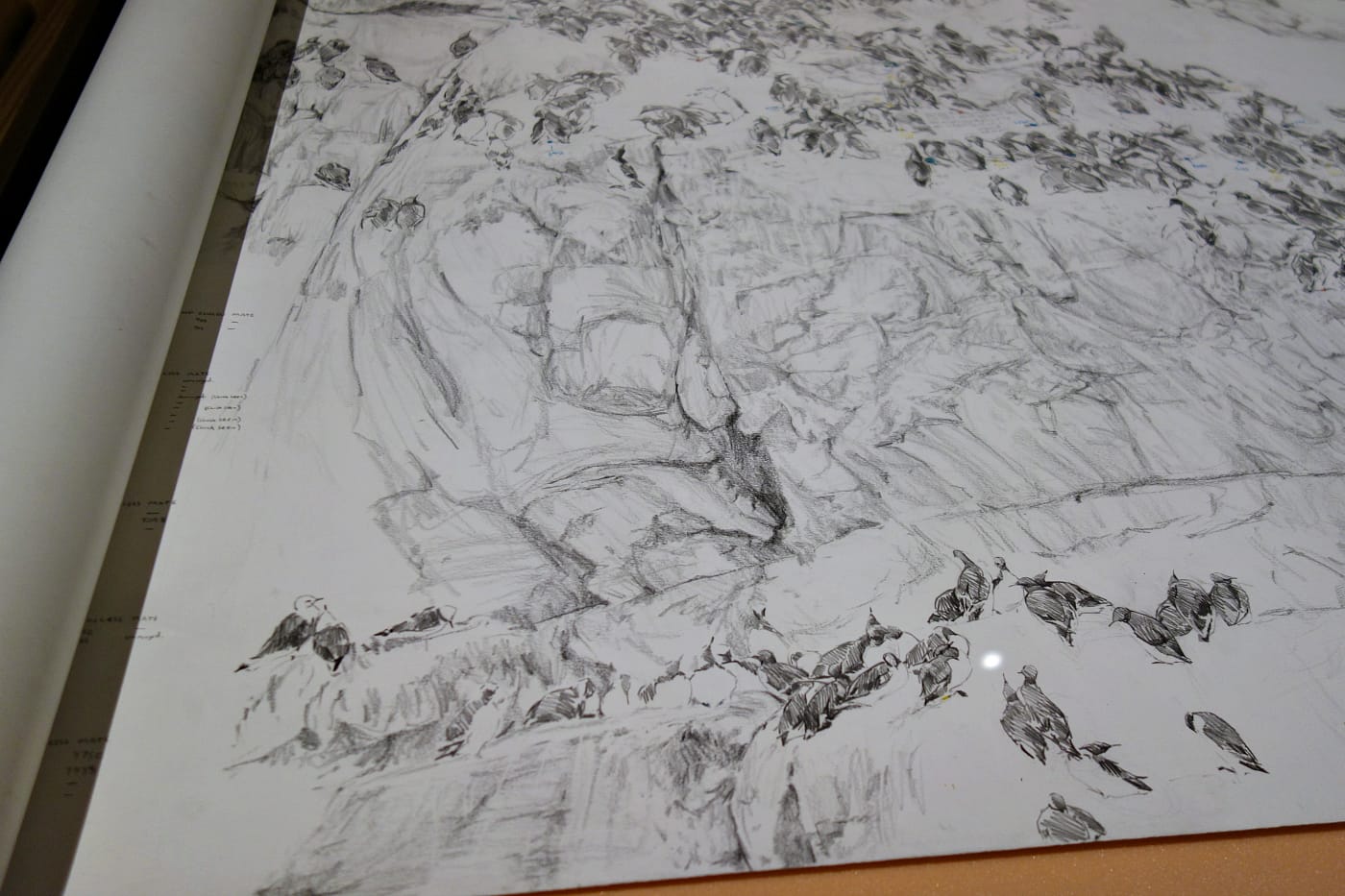 Installation view of <em>A Museum of Modern Nature</em> at the Wellcome Collection in London (photo by the author for Hyperallergic)