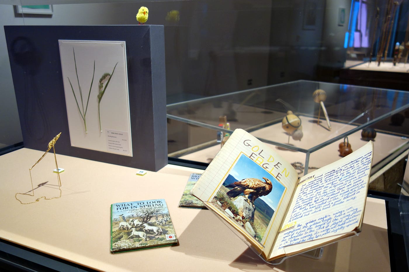 Installation view of <em>A Museum of Modern Nature</em> at the Wellcome Collection in London (photo by the author for Hyperallergic)