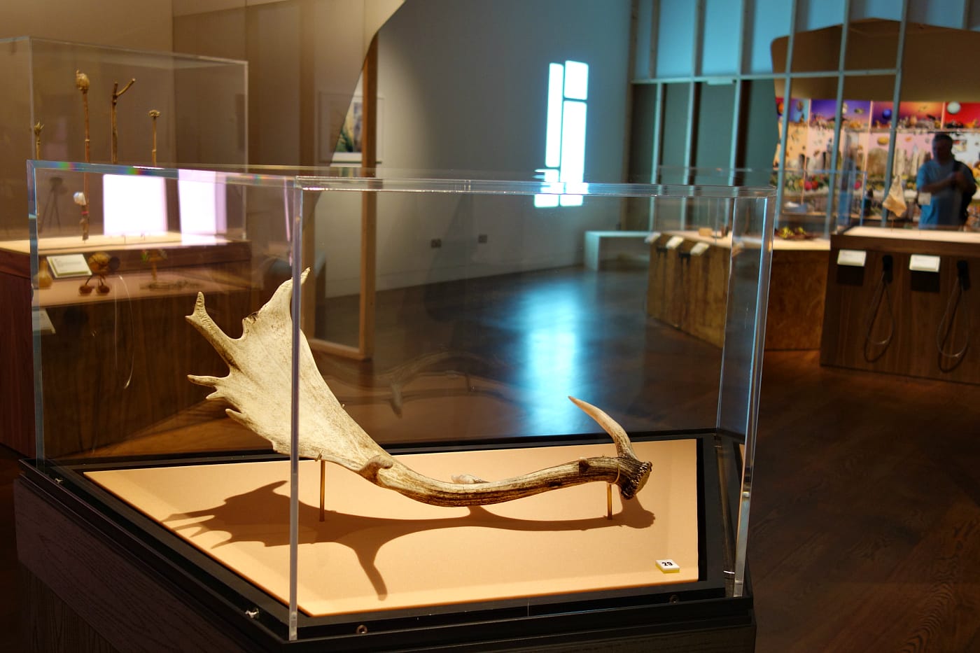 Installation view of <em>A Museum of Modern Nature</em> at the Wellcome Collection in London (photo by the author for Hyperallergic)