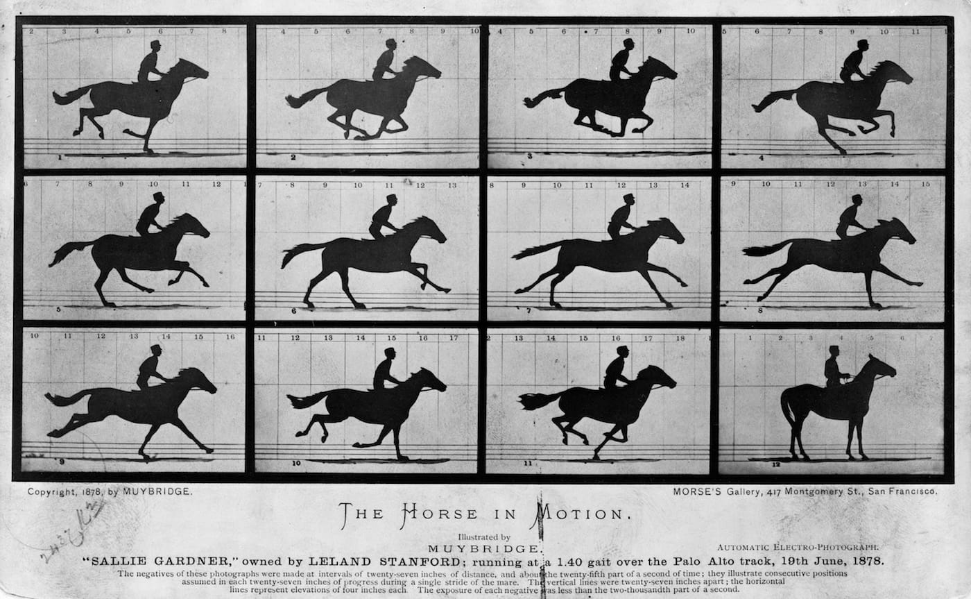 "The Horse in Motion" by Eadweard Muybridge (1878) (via Library of Congress Prints and Photographs Division/Wikimedia)