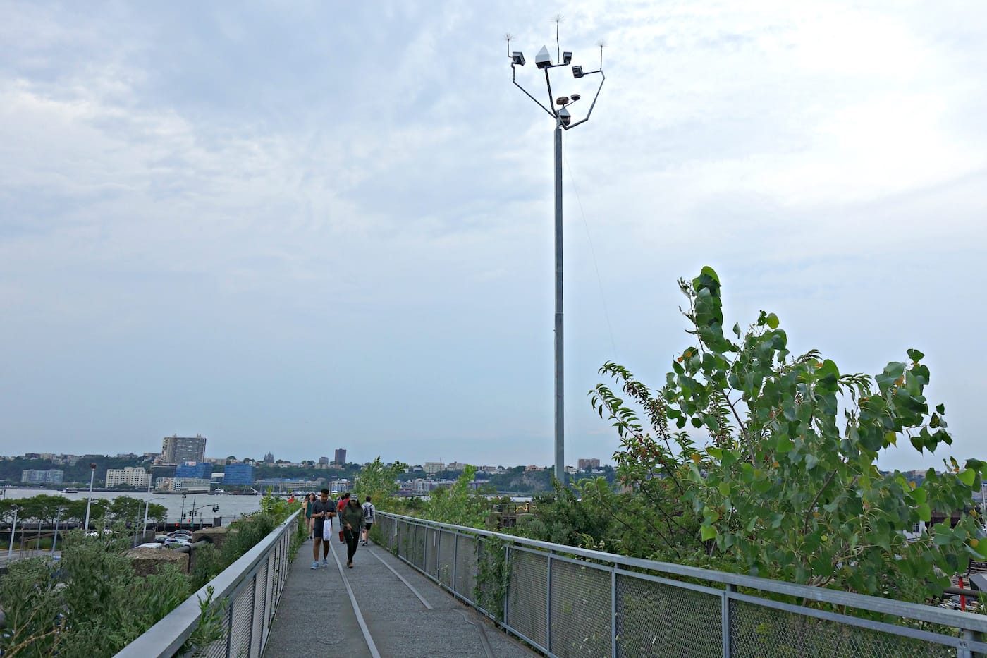 Installation view of <em>Mutations</em> on the High Line in New York