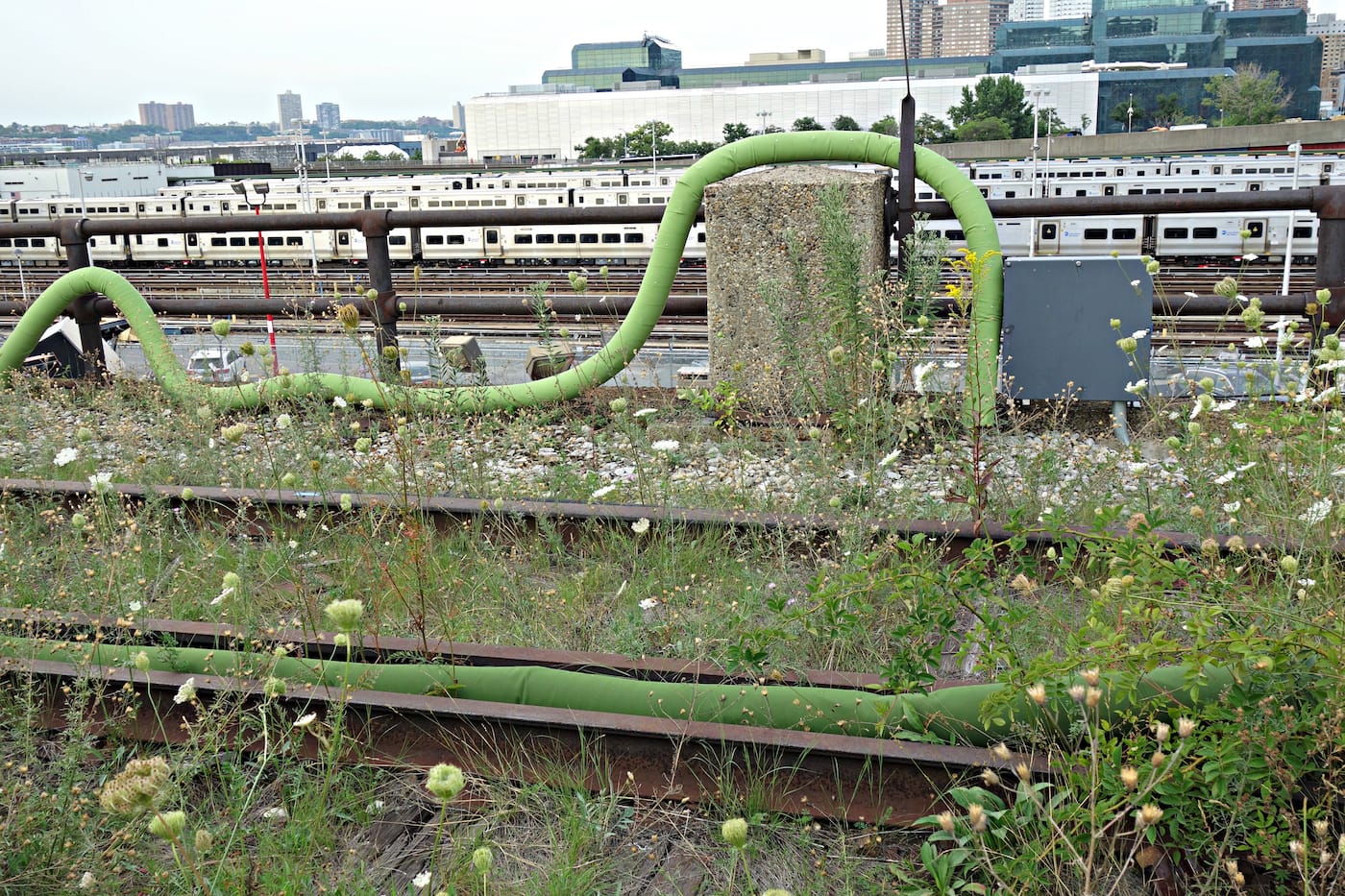 Installation view of <em>Mutations</em> on the High Line in New York