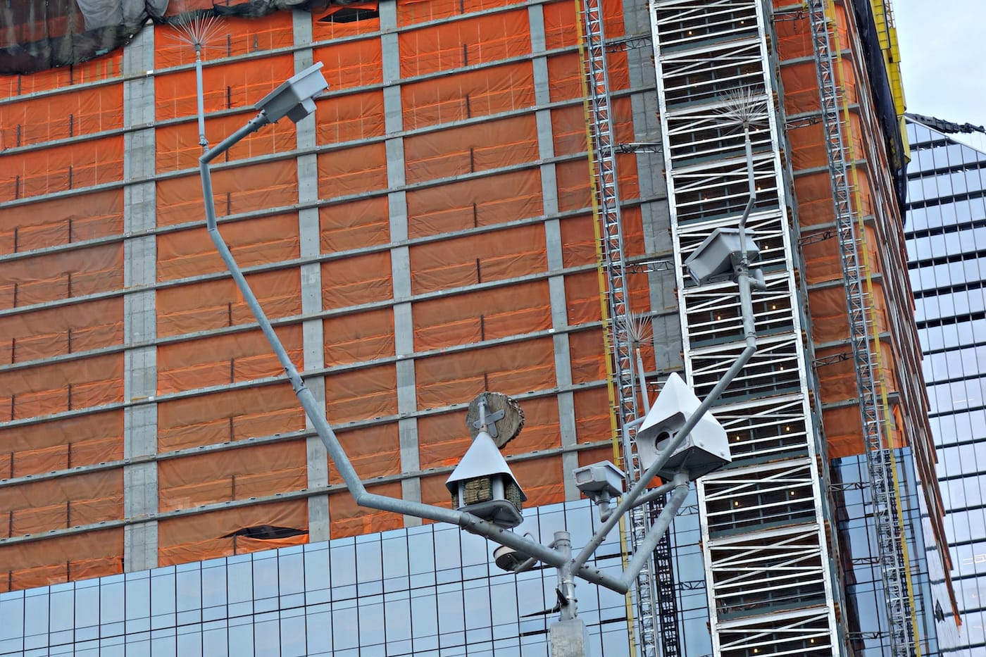 Installation view of <em>Mutations</em> on the High Line in New York