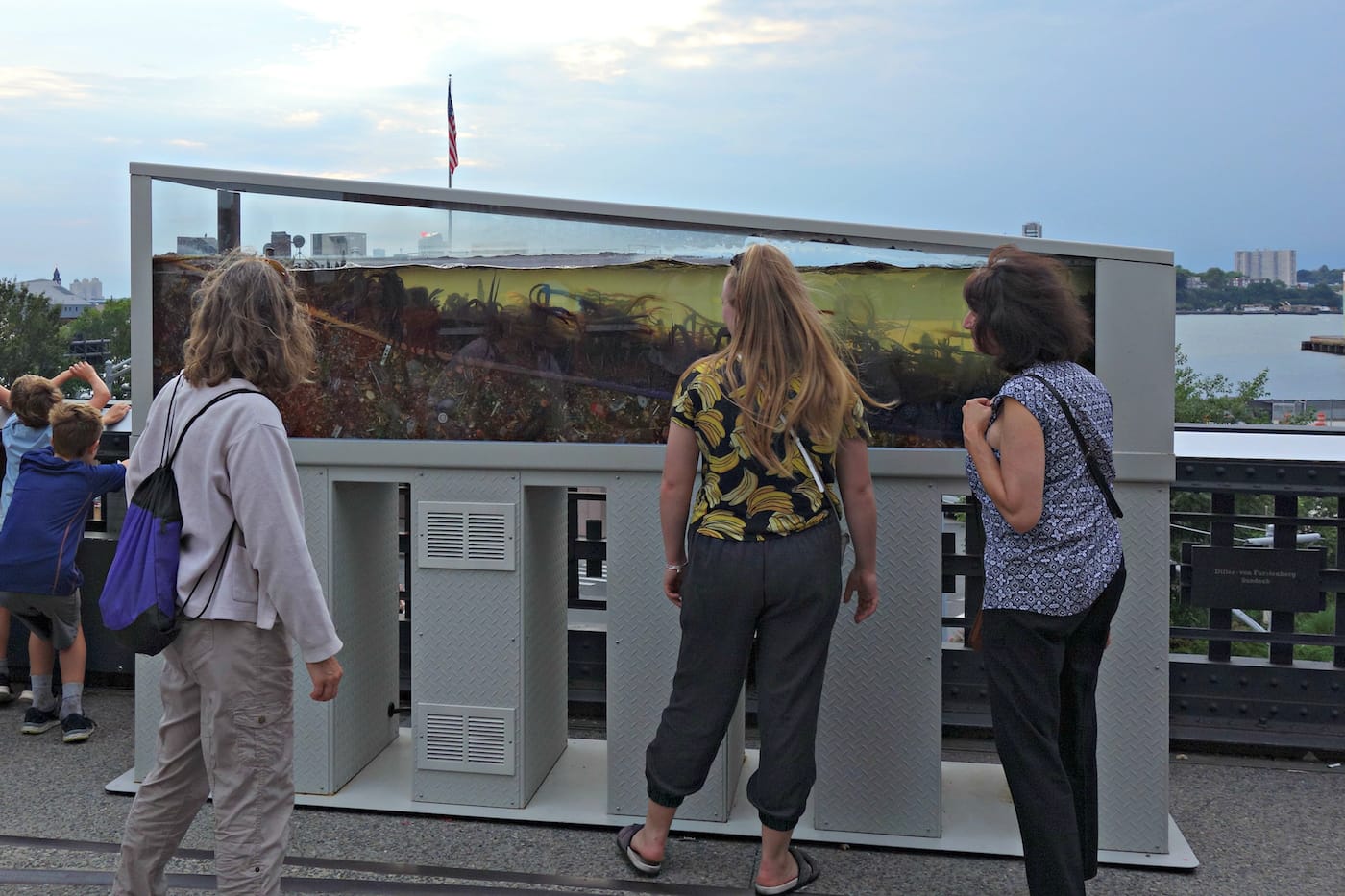 Installation view of <em>Mutations</em> on the High Line in New York