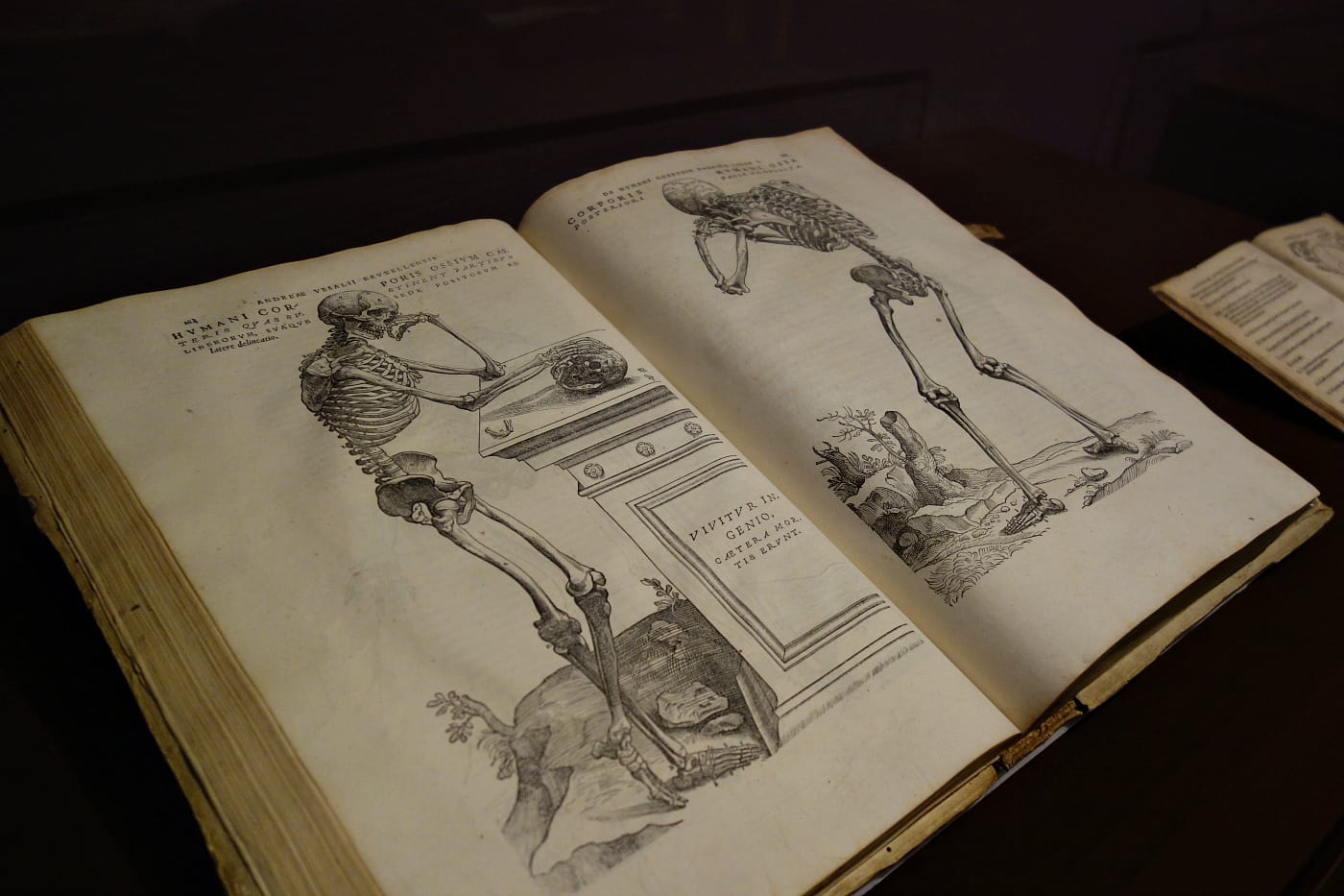 Installation view of <em>The Ivory Mirror: The Art of Mortality in Renaissance Europe</em> at the Bowdoin College Museum of Art (photo by the author for Hyperallergic)