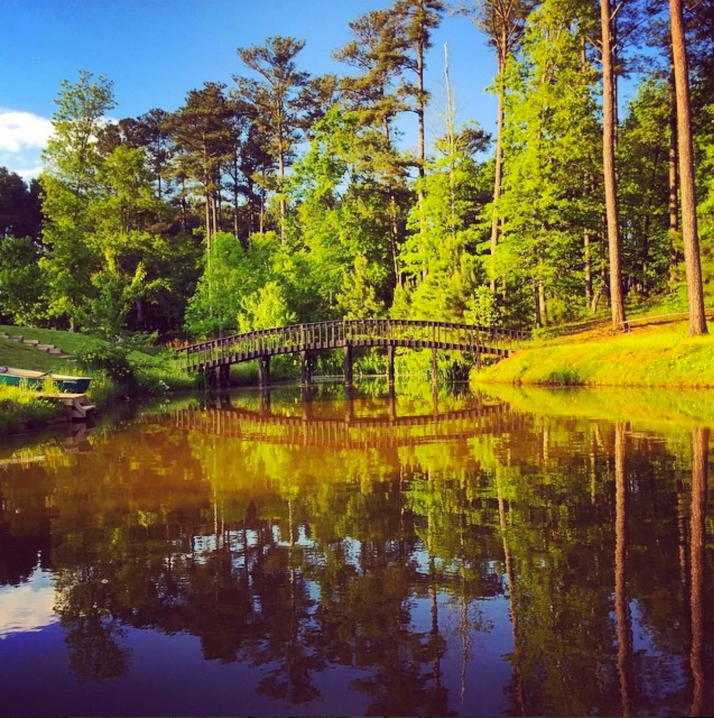 The bucolic landscape surrounding Serenbe (photo by the author for Hyperallergic)