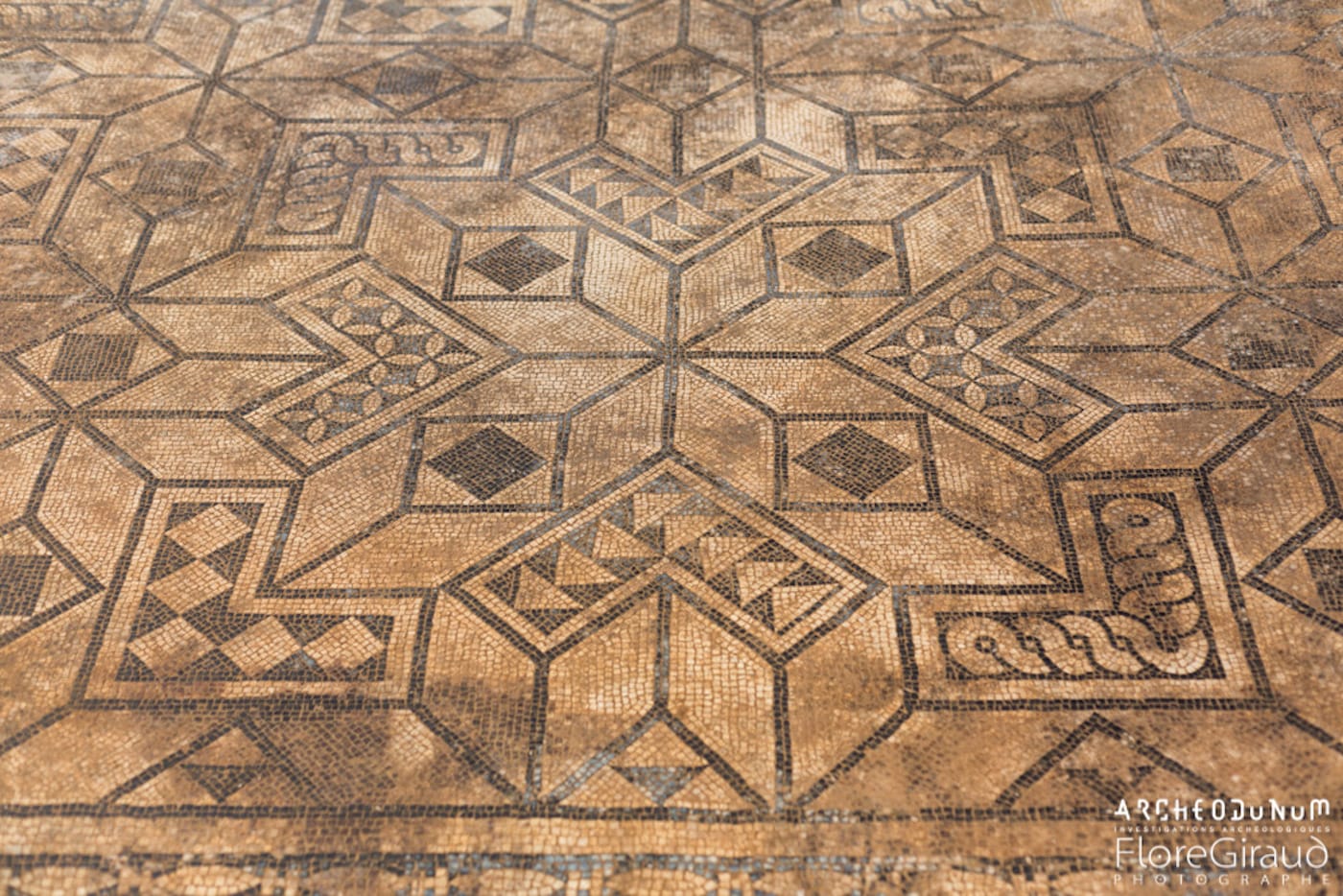 A mosaic at the archaeological dig site in Vienne (photo by Flore Giraud, courtesy Archeodunum)