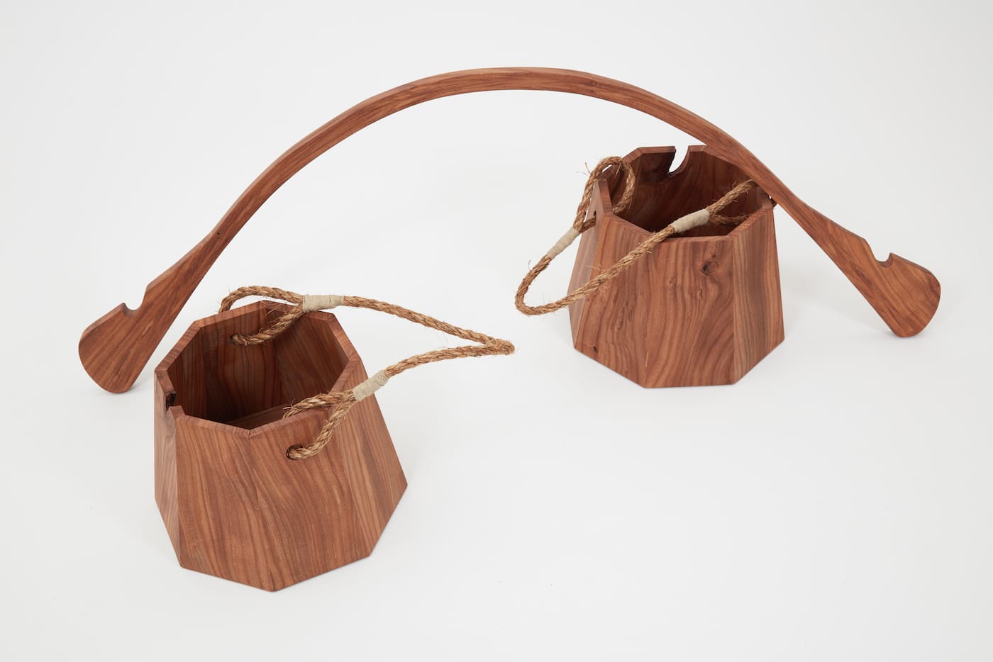 Witness Tree Project