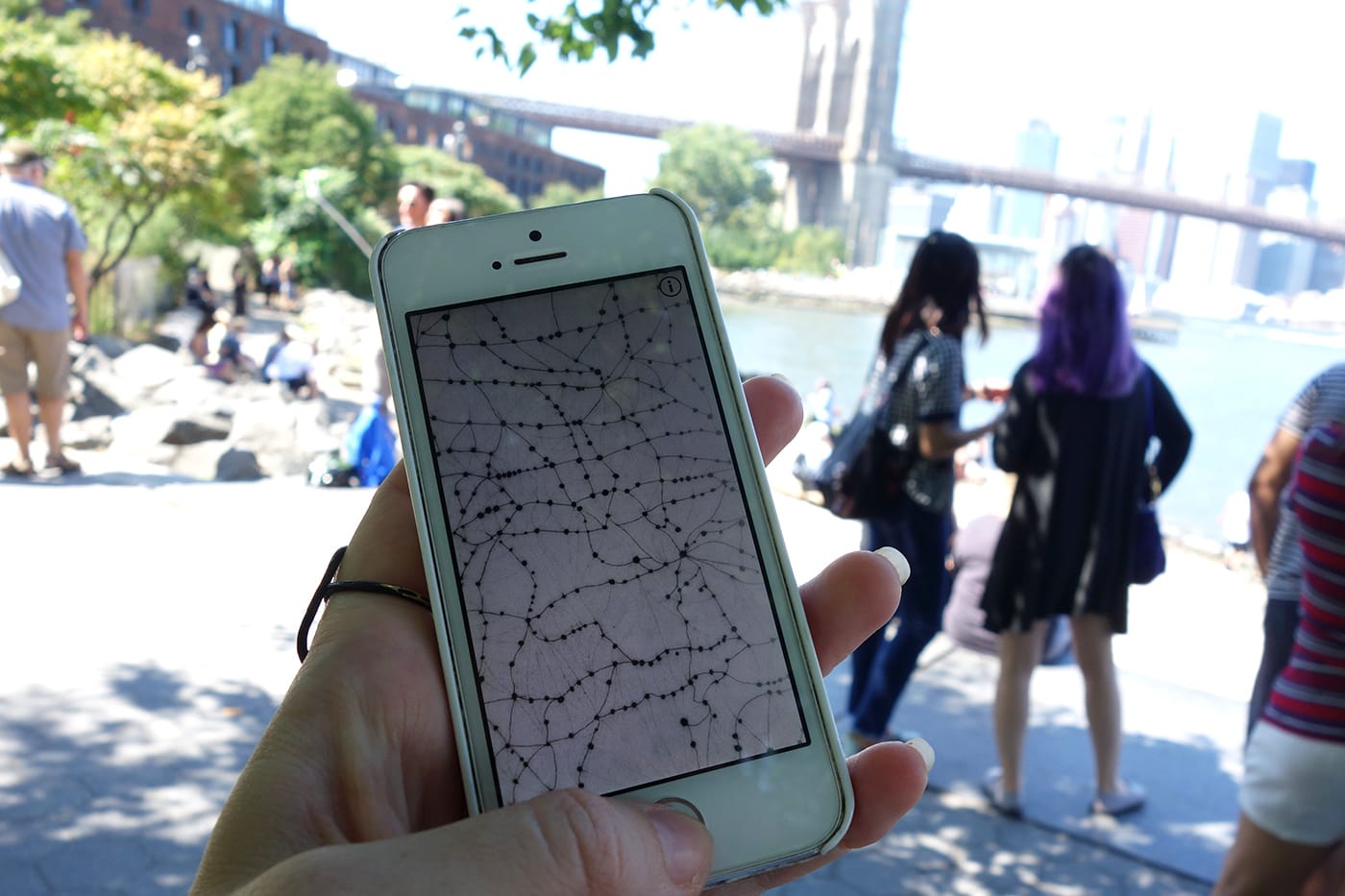 Brooklyn Bridge Park (photo by the author for Hyperallergic)