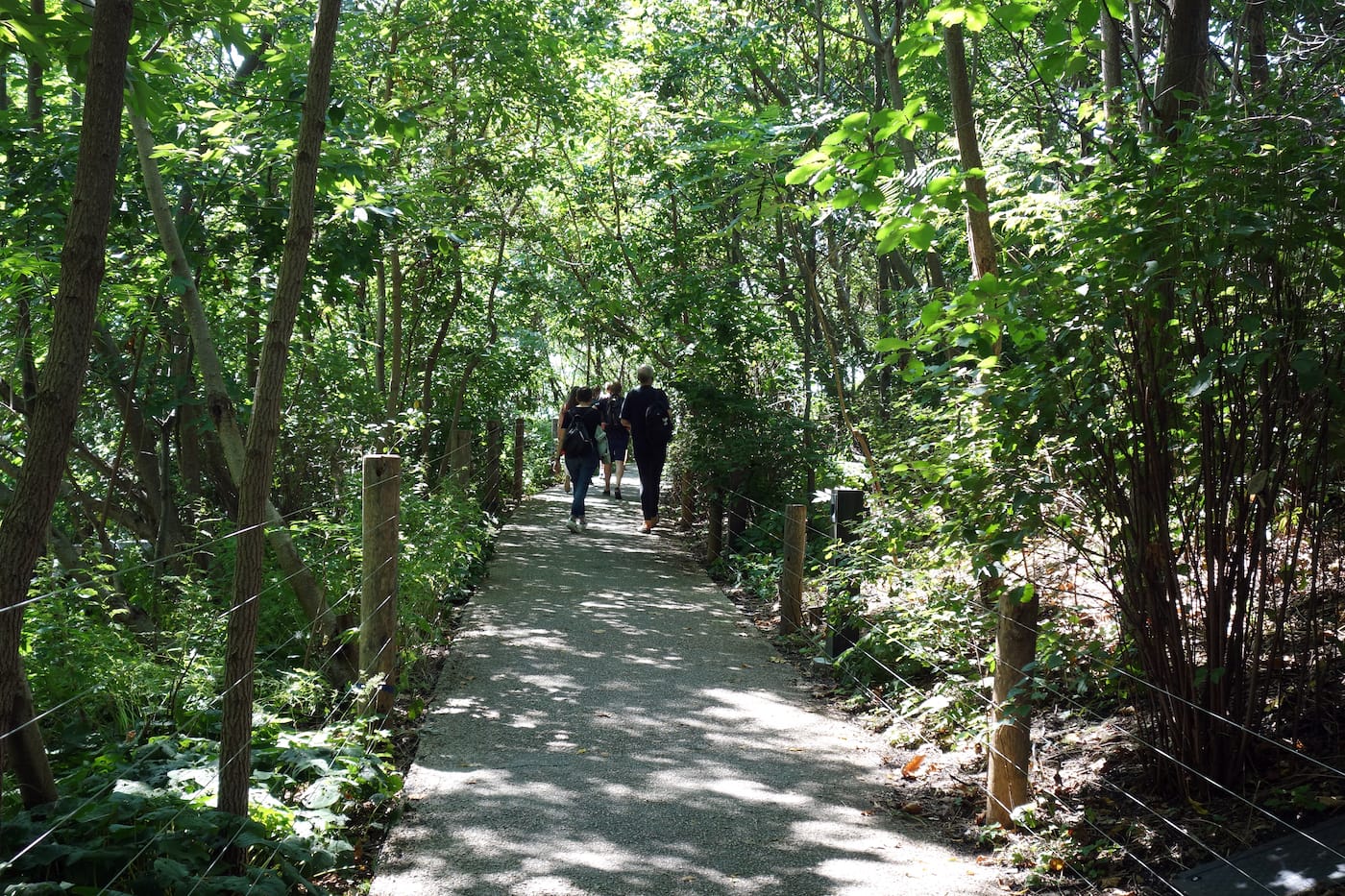 Brooklyn Bridge Park (photo by the author for Hyperallergic)
