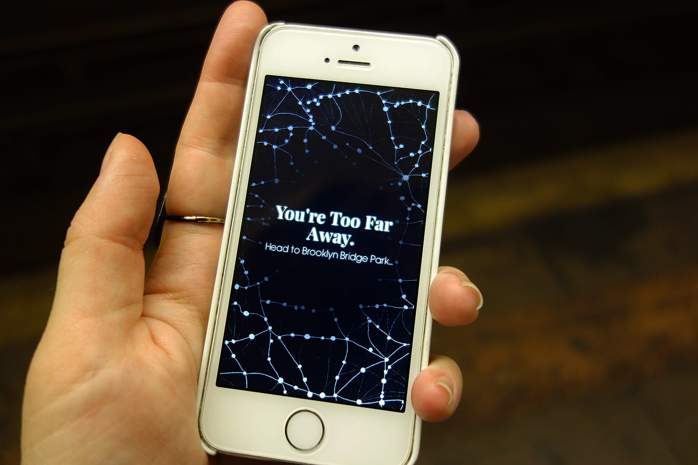 Brooklyn Bridge Park (photo by the author for Hyperallergic)