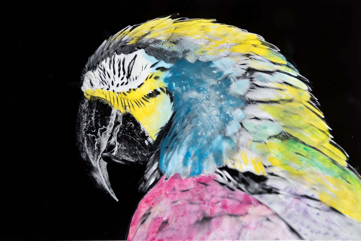 Sanne De Wilde, "The parrot with its squinting eye half open was the beginning of the project; a 'tropical' symbol for colors. It was later colored by an achromatope not aware of which colors she was using (yet applying them quite correctly)." (© Sanne De Wilde)
