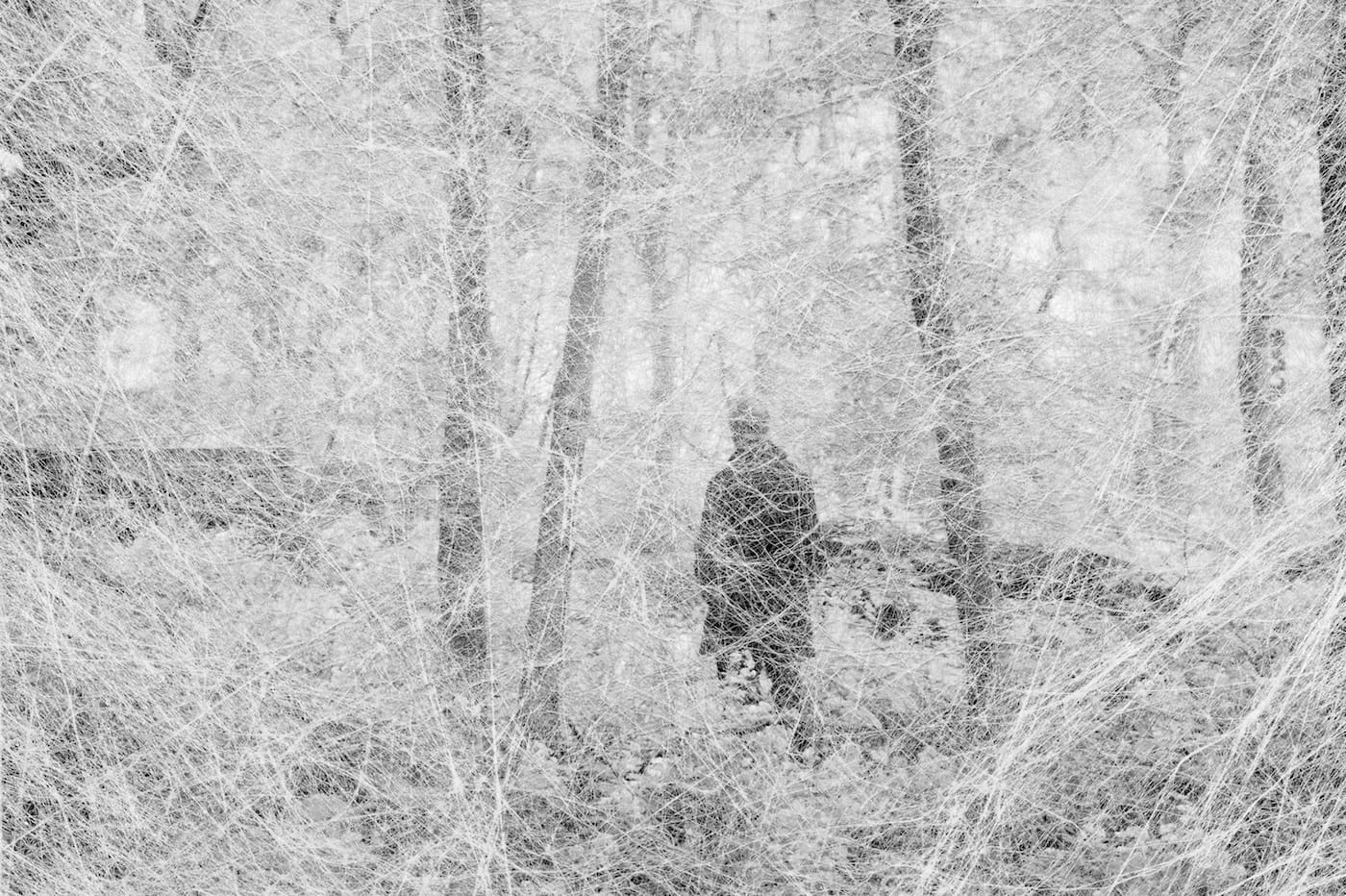 The Disappearance of Joseph Plummer