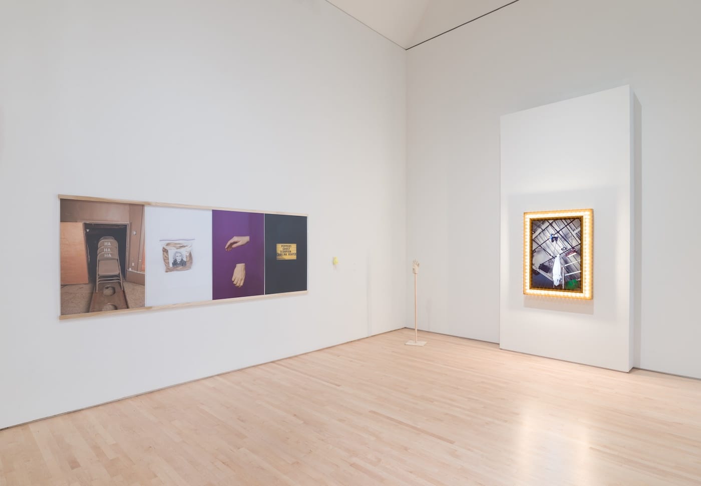 Installation view of 2017 SECA Art Award at SFMOMA (courtesy the artist)