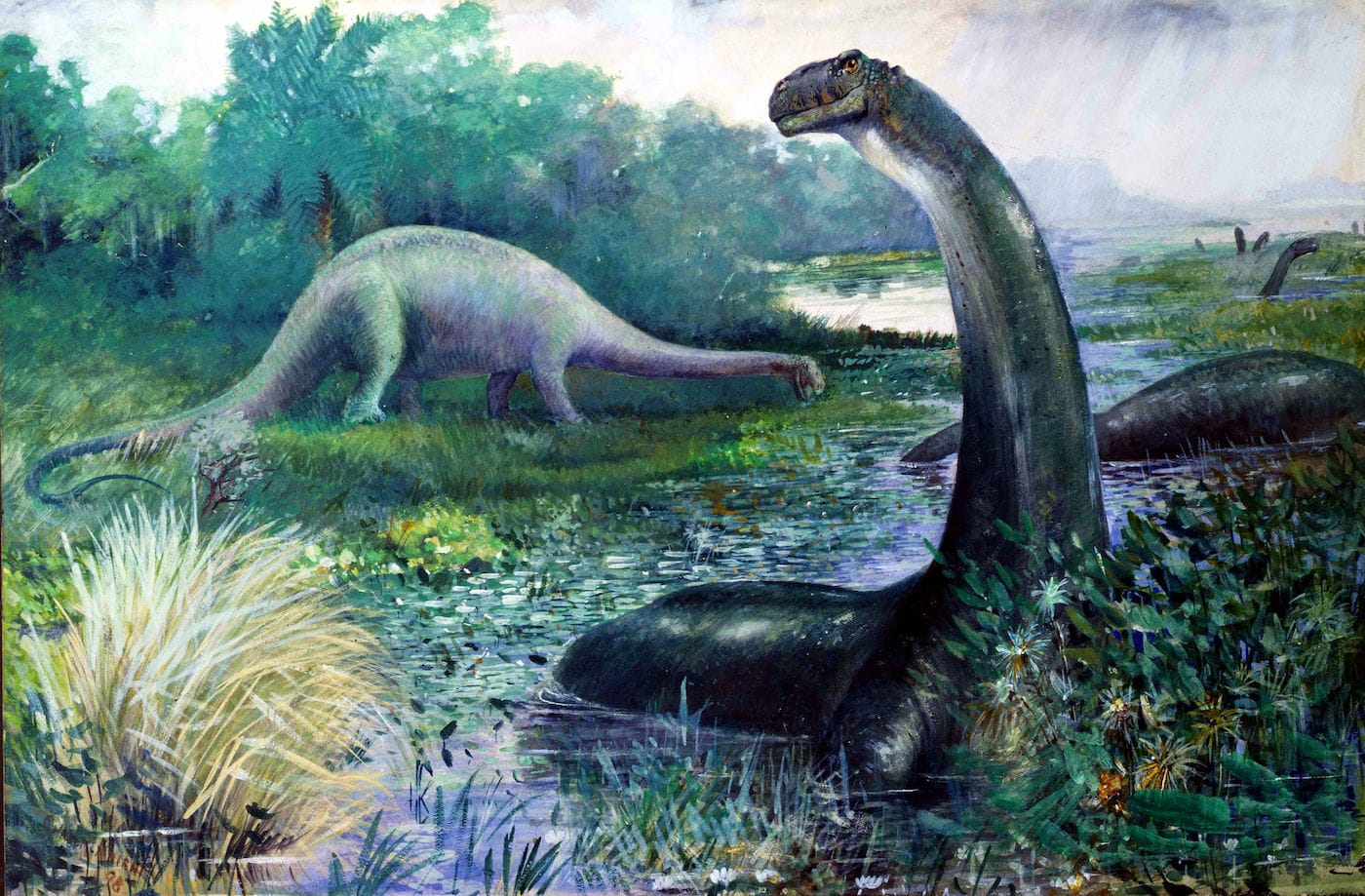 Painting of a Brontosaurus by Charles R. Knight (courtesy On Site Opera)