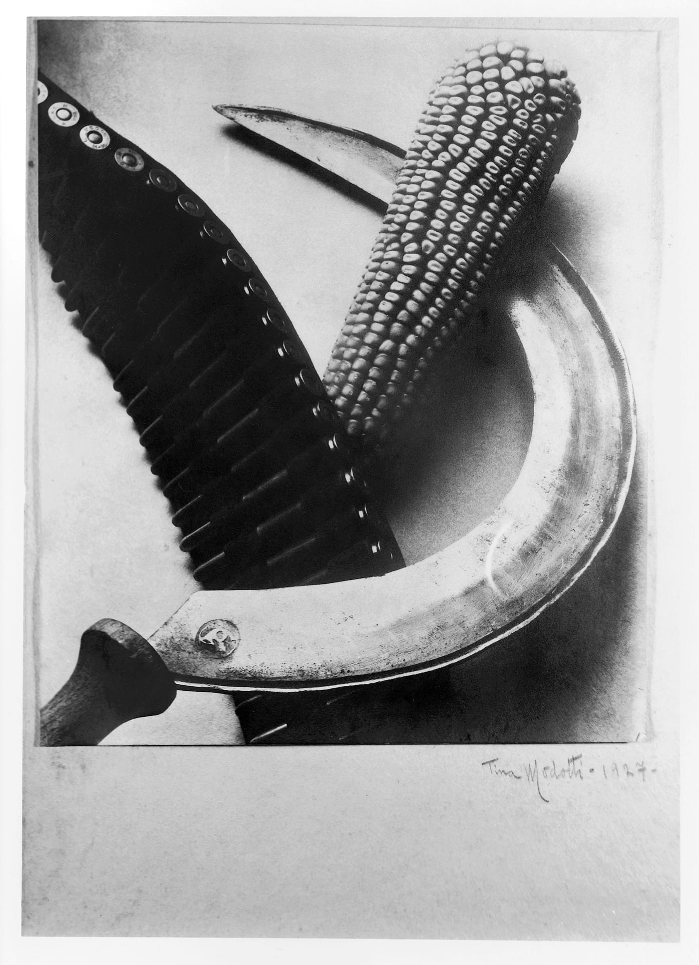 Tina Modotti: Photographer & Revolutionary