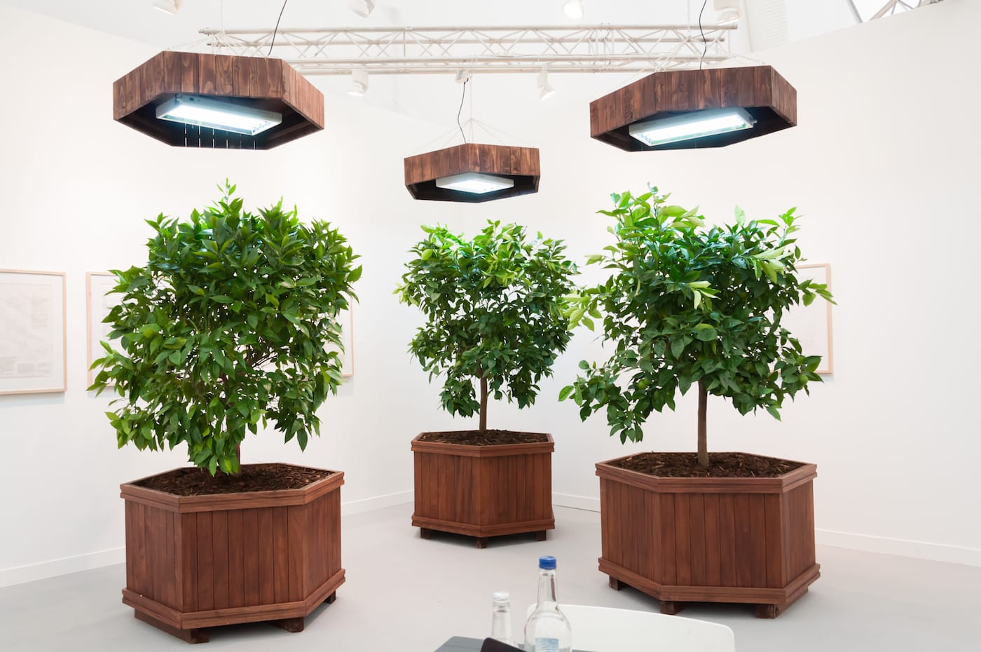 The Harrisons, "Survival Piece V: Portable Orchard" (1972) in the Various Small Fires booth at Frieze London 2017 (photo courtesy Frieze)