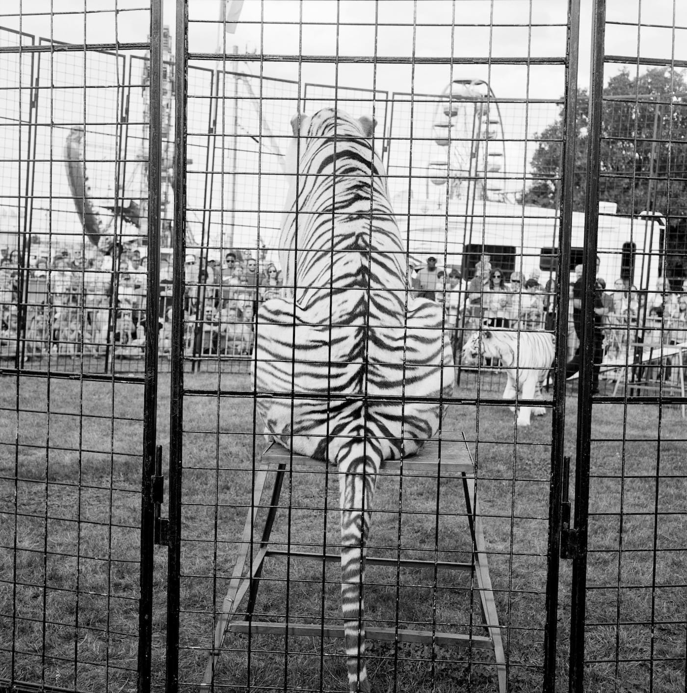 Photograph by Hunter Barnes from <em>Tickets</em> (courtesy the artist and Reel Art Press)