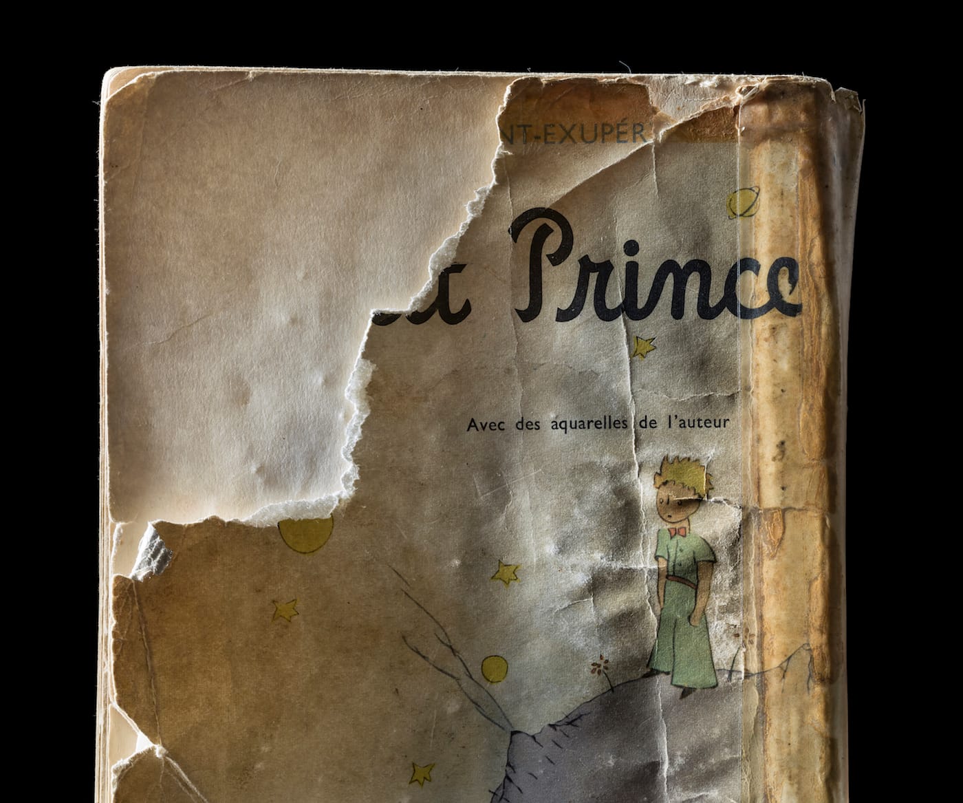 Kerry Mansfield, Expired (courtesy the artist)