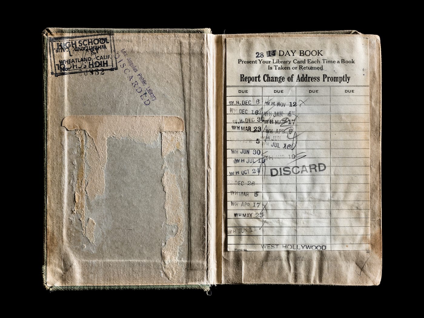 Kerry Mansfield, Expired (courtesy the artist)