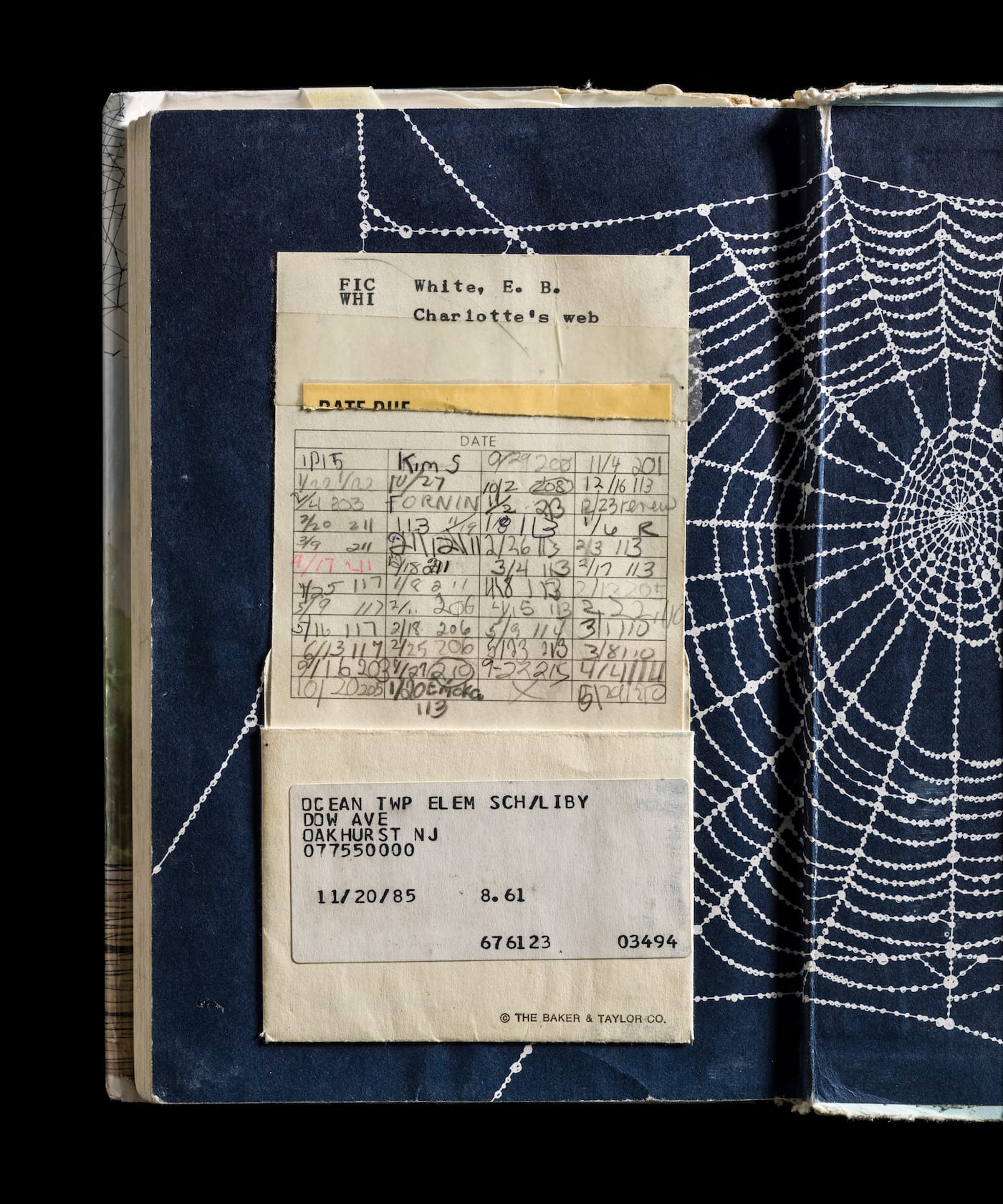 Kerry Mansfield, Expired (courtesy the artist)