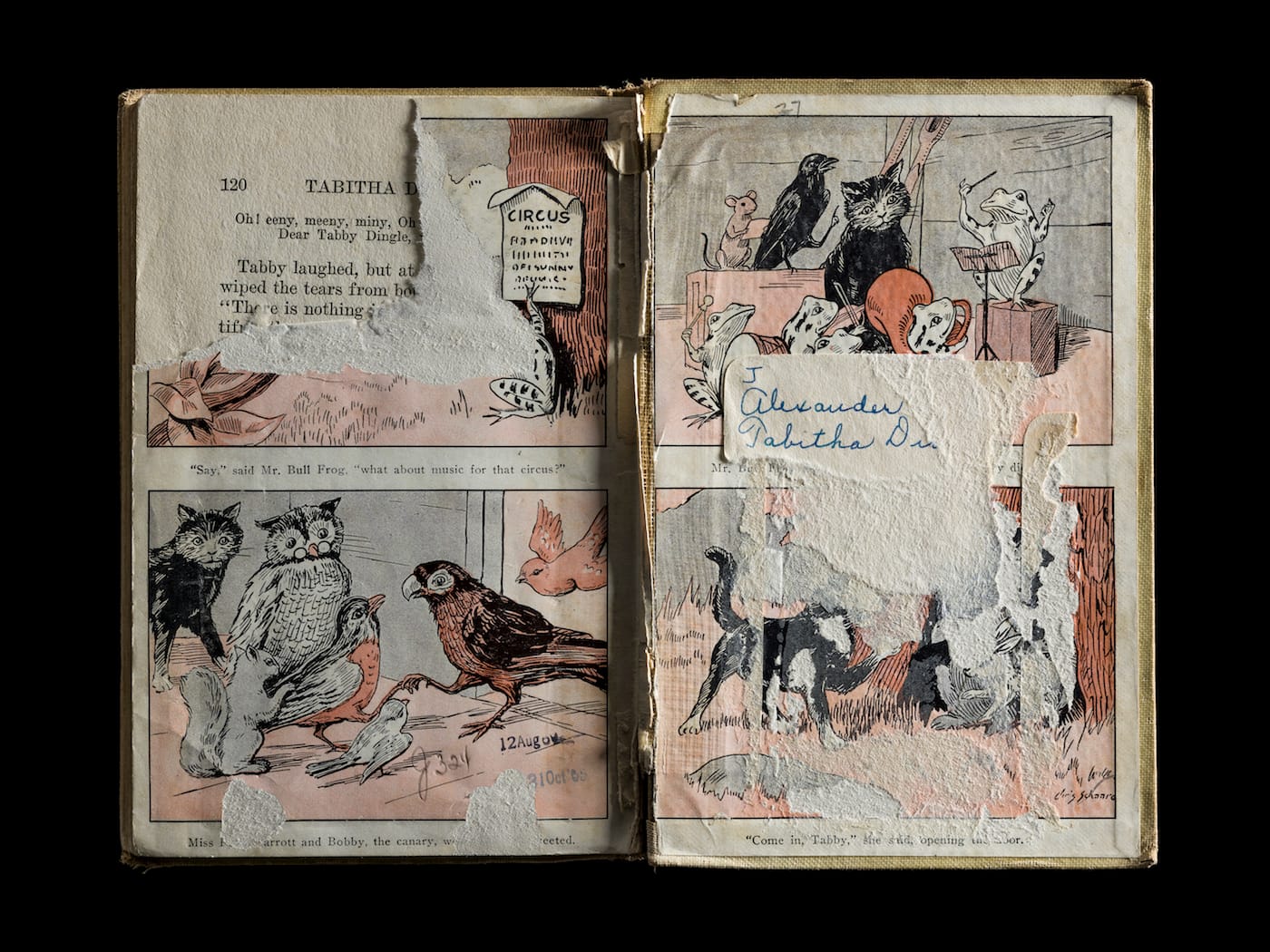 Kerry Mansfield, Expired (courtesy the artist)