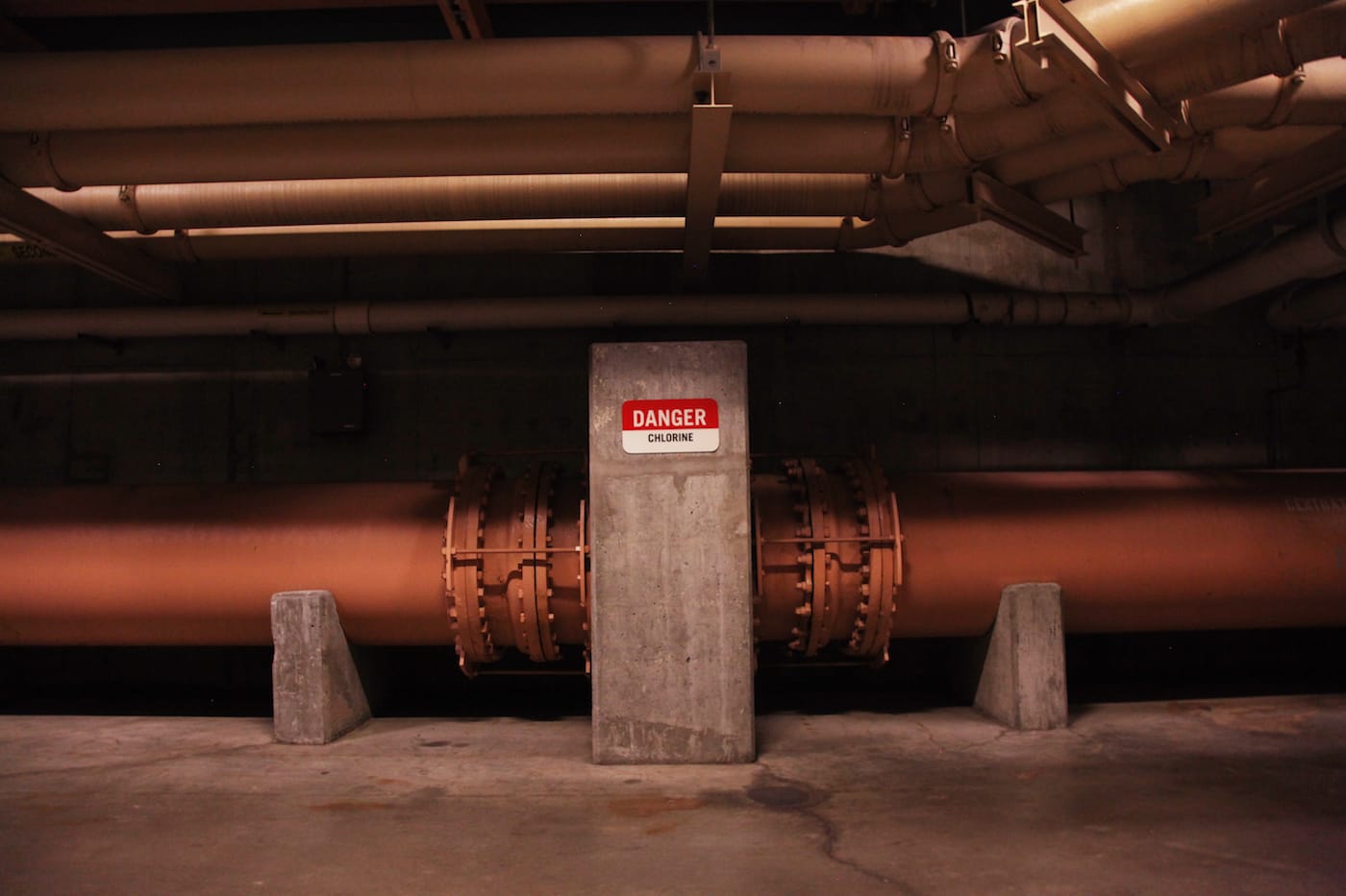 Mark Lamster, <em>The Island That Nobody Knows</em> (courtesy the artist)