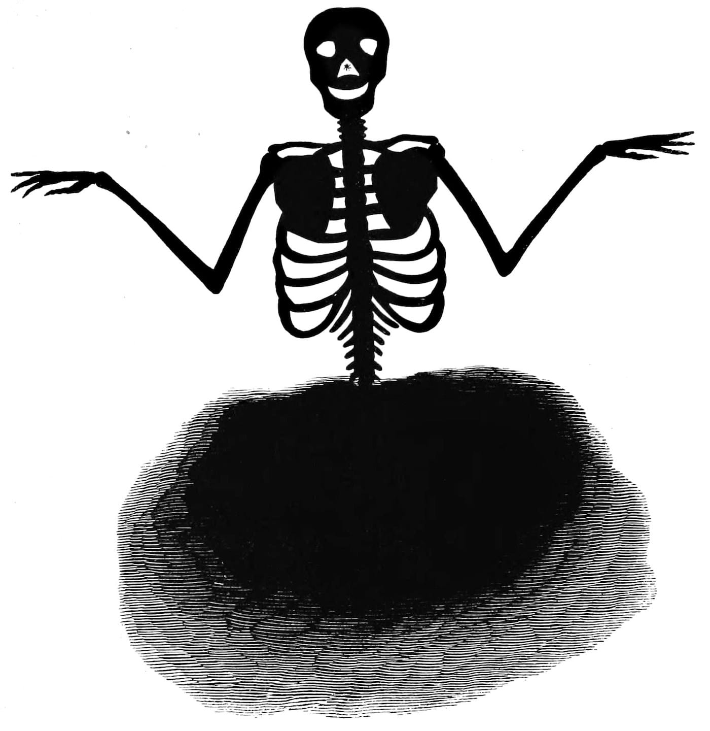 Illustration from Spectropia, or, surprising spectral illusions showing ghosts everywhere and of any colour by J. H. Brown (1864) (via Wikimedia)