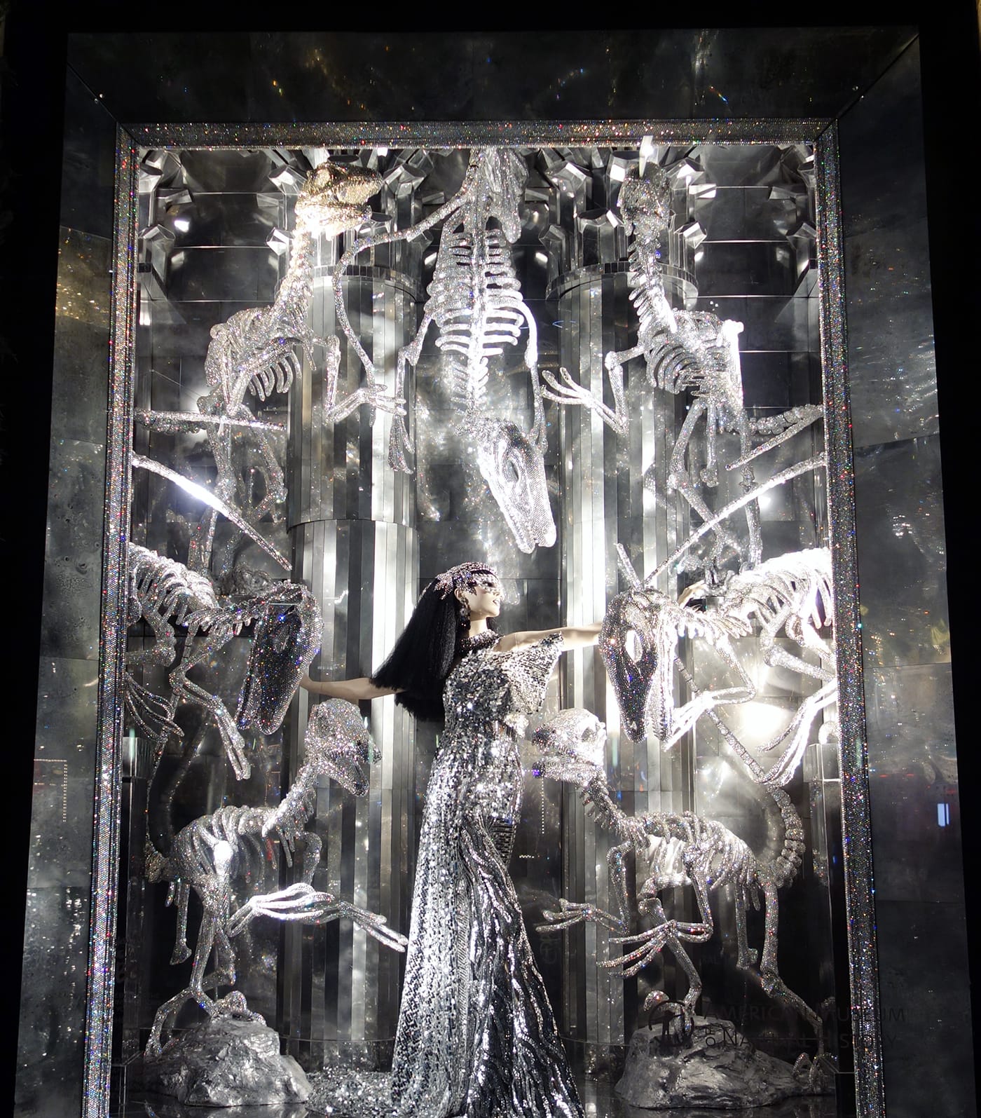 The American Museum of Natural History window