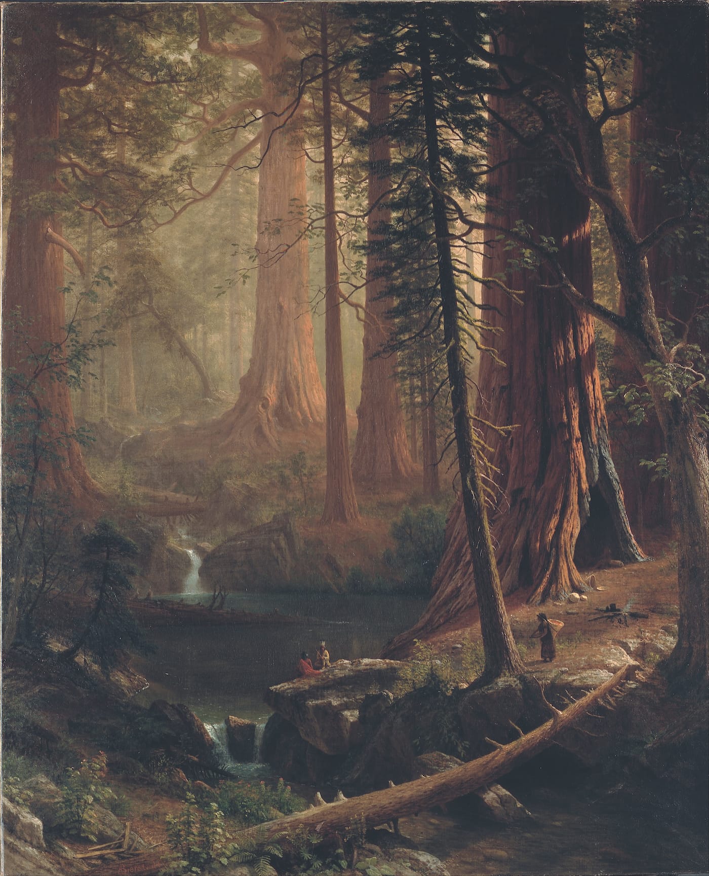Albert Bierstadt, "Giant Redwood Trees of California" (1874), oil on canvas, 54 1/2 × 65 1/2 in (Berkshire Museum, via Wikimedia Commons)