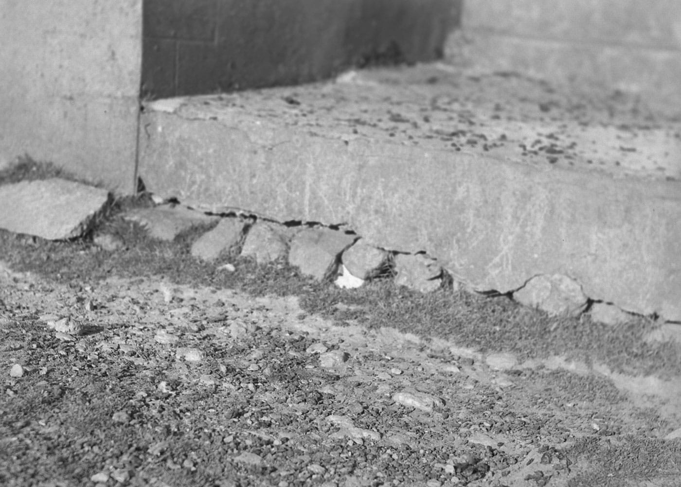 "Gap in the concrete step from which Gef's voice was heard," from <em>Gef!: The Strange Tale of an Extra-special Talking Mongoose</em> (courtesy Strange Attractor)