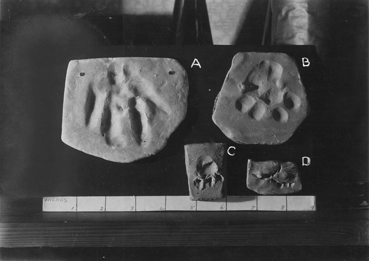 Photograph from <em>Gef!: The Strange Tale of an Extra-special Talking Mongoose</em> (courtesy Strange Attractor)