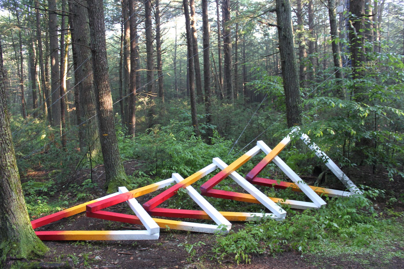 "Fast Forward Futures" (2017), installation at Harvard Forest, wood, acrylic paint, and assorted hardware, 4 x 8 x 26 feet. Collaborators: David Buckley Borden, Jack Byers, Dr. Aaron Ellison, and Salua Rivero (courtesy David Buckley Borden)