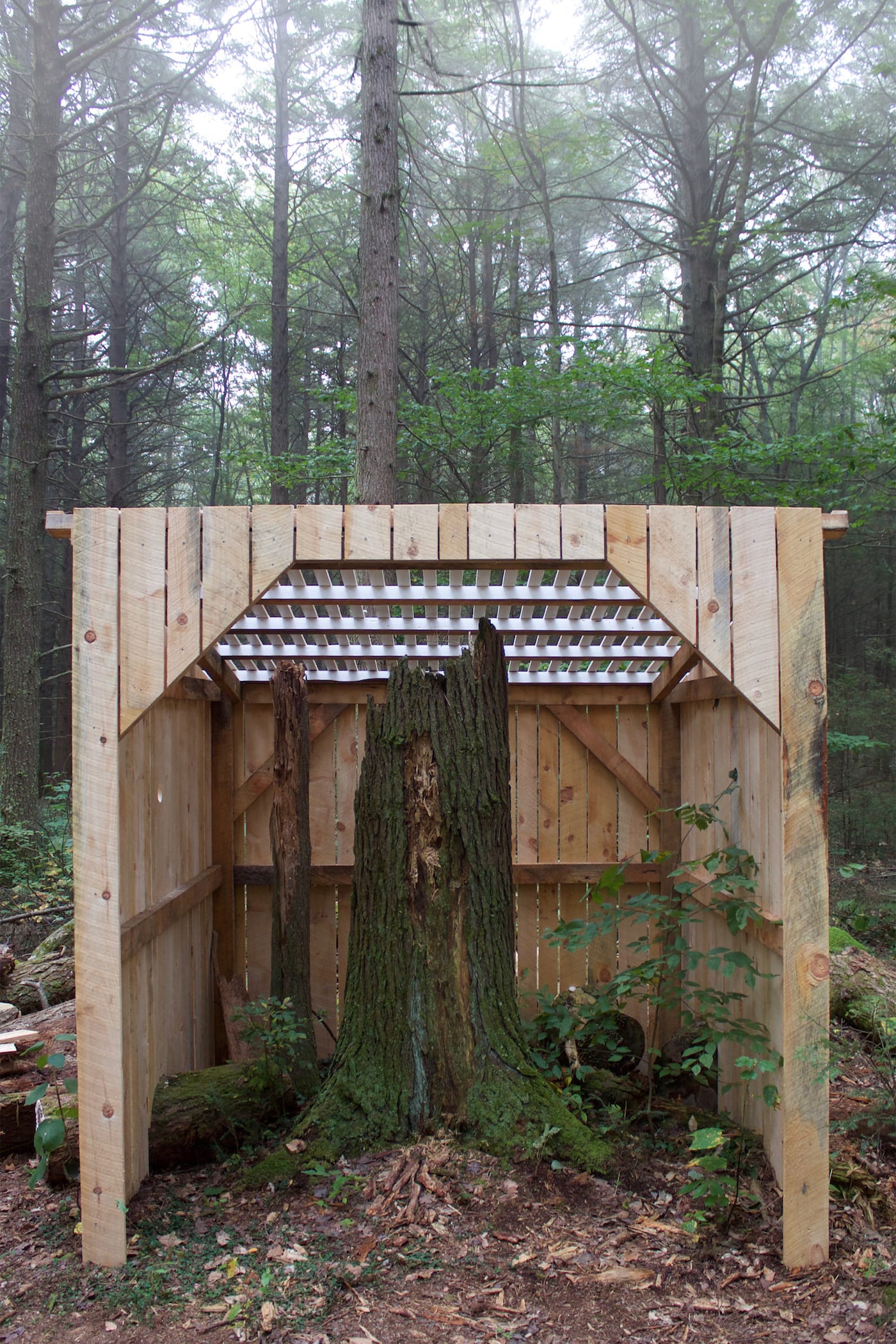 "Hemlock Memorial Shed" (2017), installation at Harvard Forest, wood, acrylic paint, and assorted hardware. Collaborators: David Buckley Borden, Mike Demaggio, Aaron Ellison, CC McGregor, Jared Laucks, and Lisa Q Ward (courtesy David Buckley Borden)