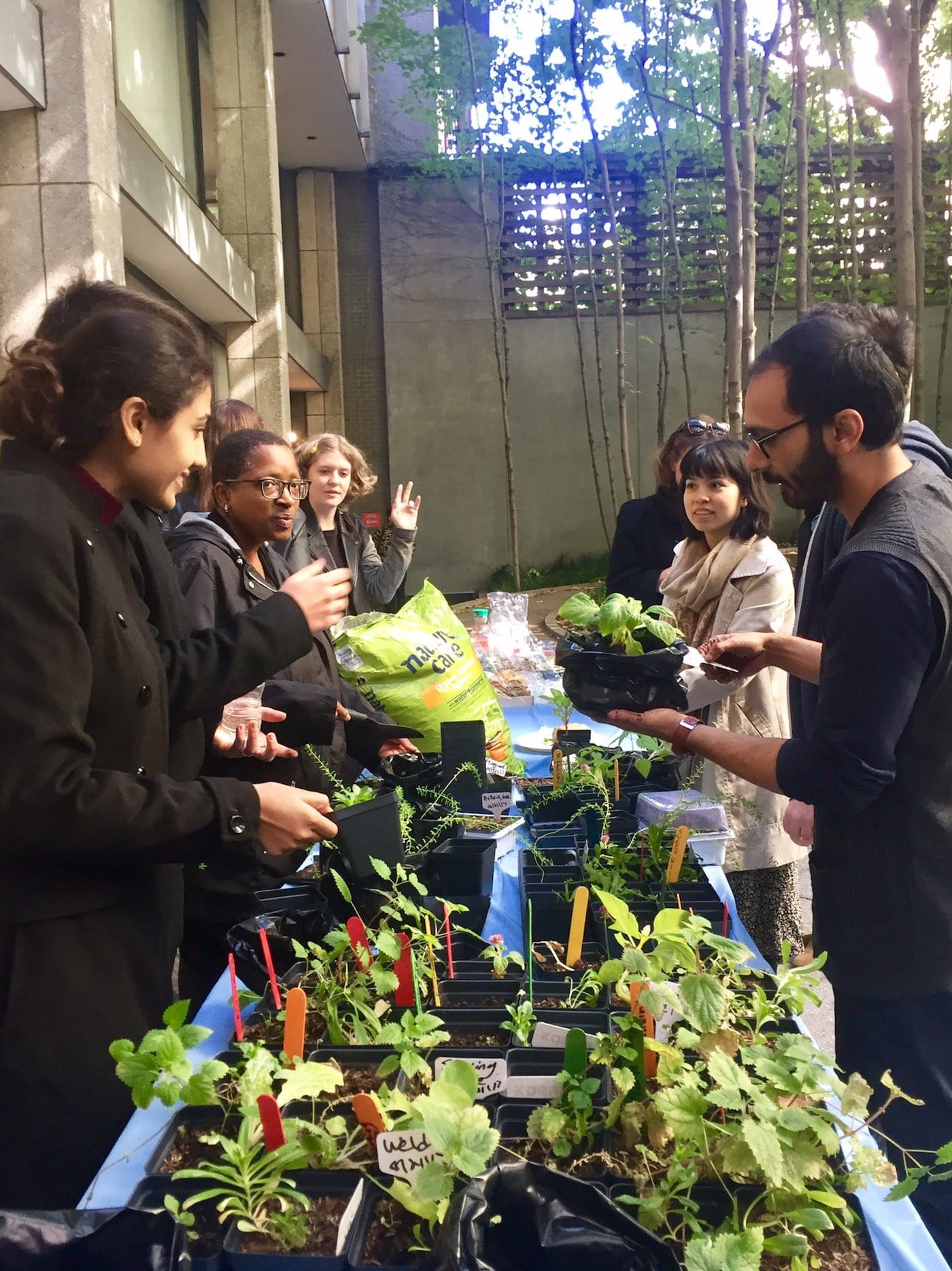 Installation view of <em>Maria Thereza Alves, Seeds of Change: New York — A Botany of Colonization</em> (courtesy Philip Van Nostrand)