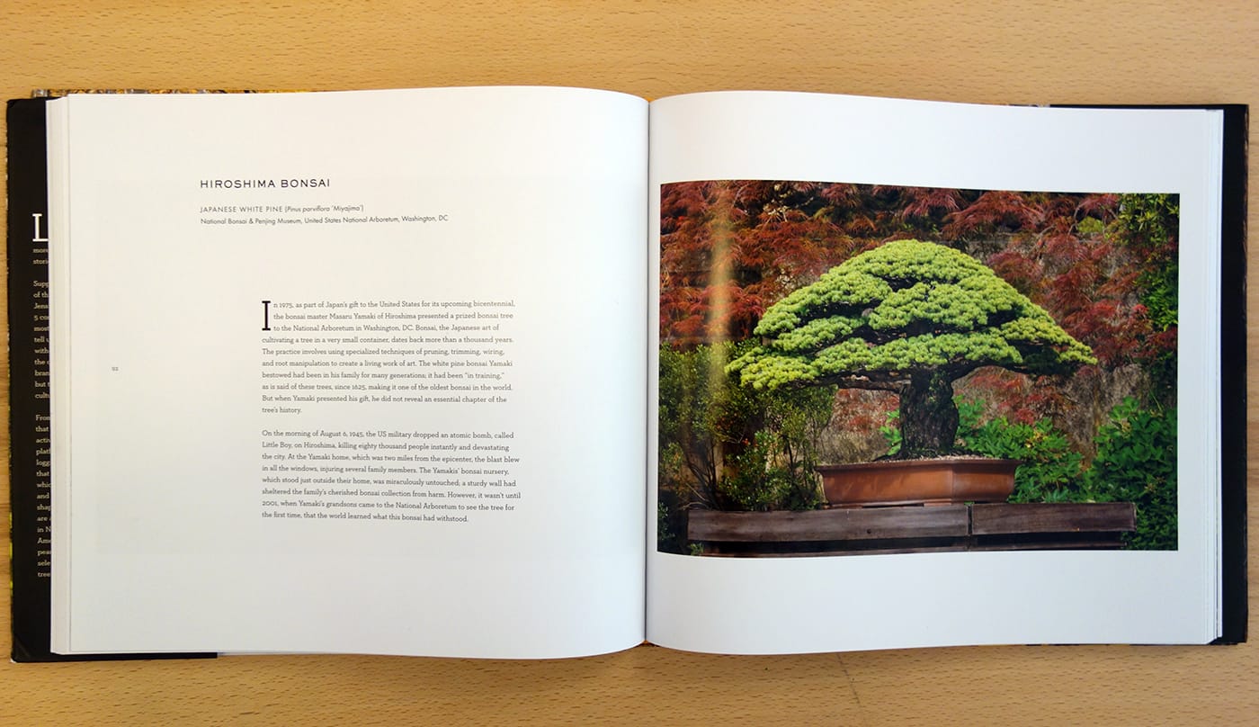 Pages from <em>Wise Trees&nbsp;</em> (photo of the book for Hyperallergic)
