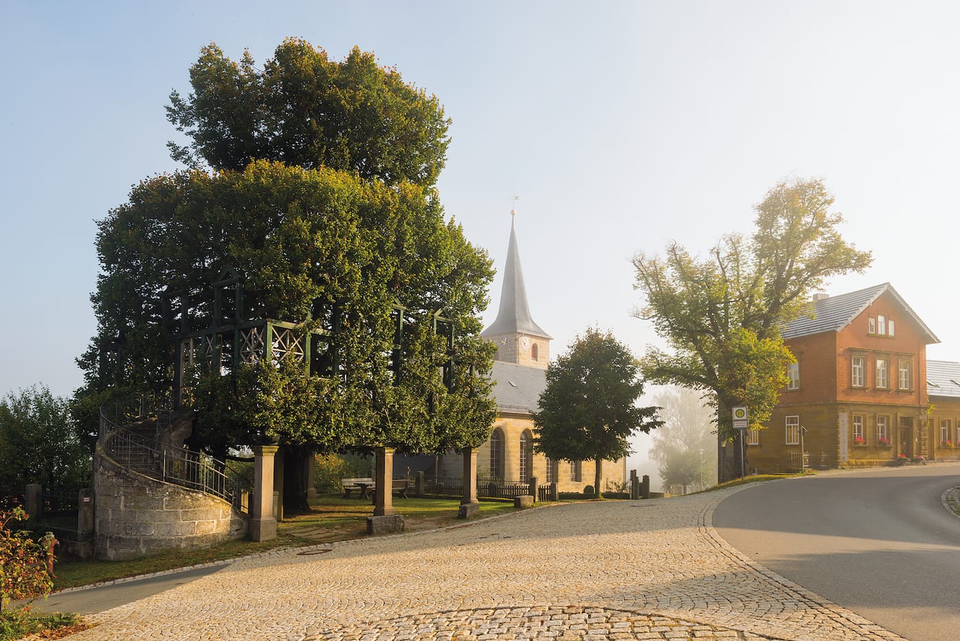 "Tanzlinde": Linden (Tilia platyphyllos), Peesten, Bavaria, Germany&nbsp;(© Diane Cook and Len Jenshel)