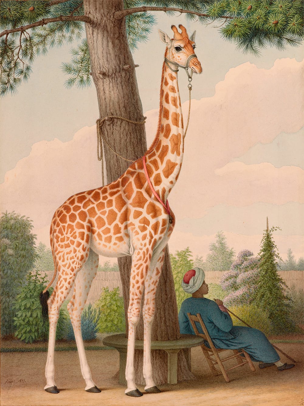 Nicolas Huet the Younger, "Study of the Giraffe Given to Charles X by the Viceroy of Egypt" (1827), watercolor (via Wikimedia)